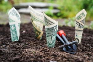 Seraf Method for Valuing Startups: Financing