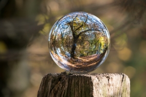 Seraf Valuation Method: Current Environment