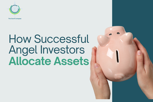 Angel investing asset allocation